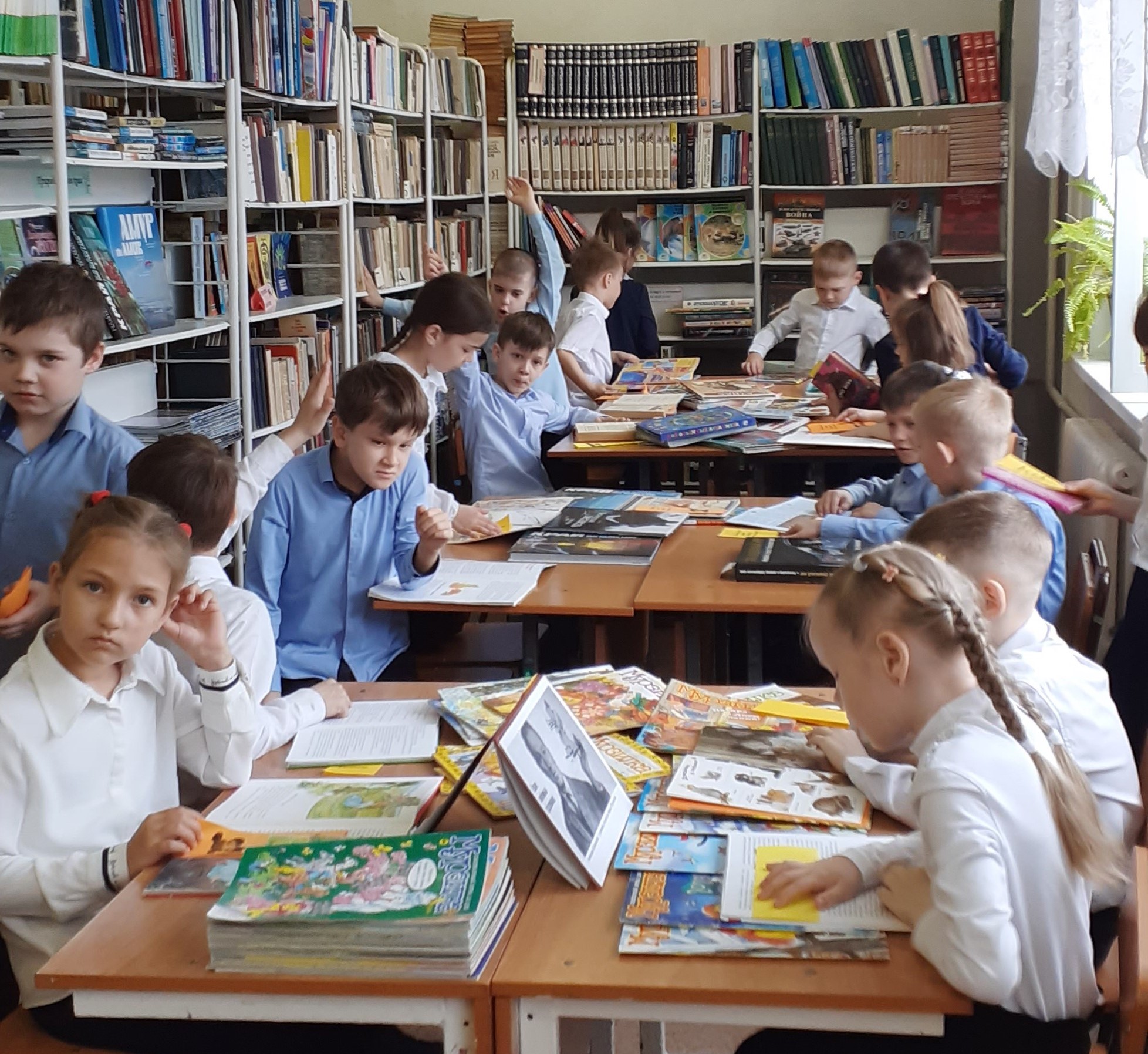 Коротко о библиотеке: Изображение.